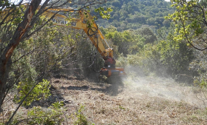 Démaquisage  avant implantation d'un terrassement